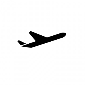 Pur Kombilösung - Reiseset / Flightpack (100ml)